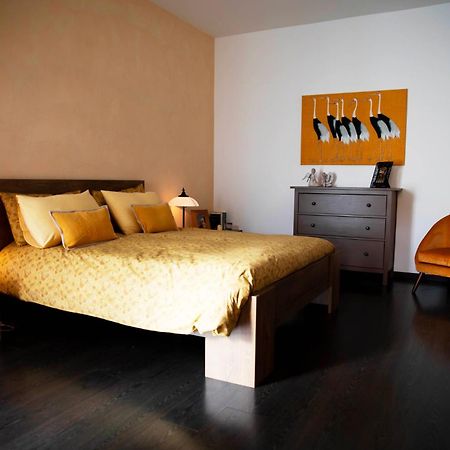 Sound Of Colors - Art Design Apartment Desenzano del Garda Exterior photo